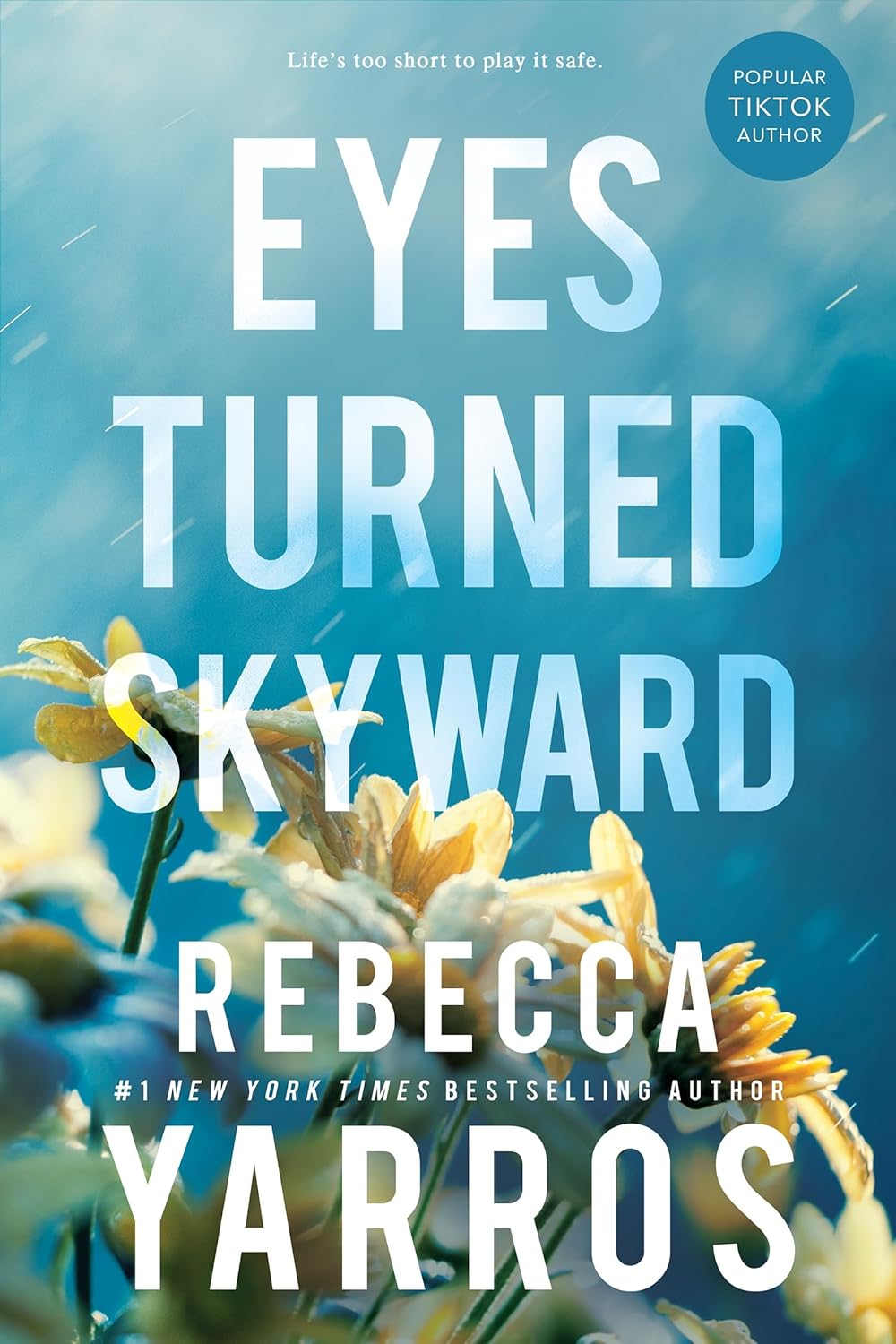 Eyes Turned Skyward (Flight & Glory Book 2)