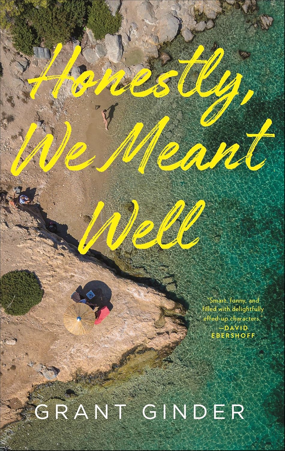 Honestly, We Meant Well: A Novel