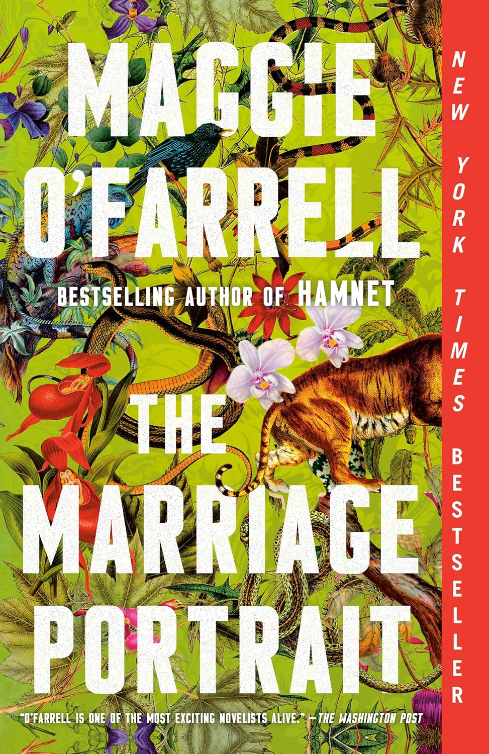 The Marriage Portrait: Reese's Book Club: A Novel