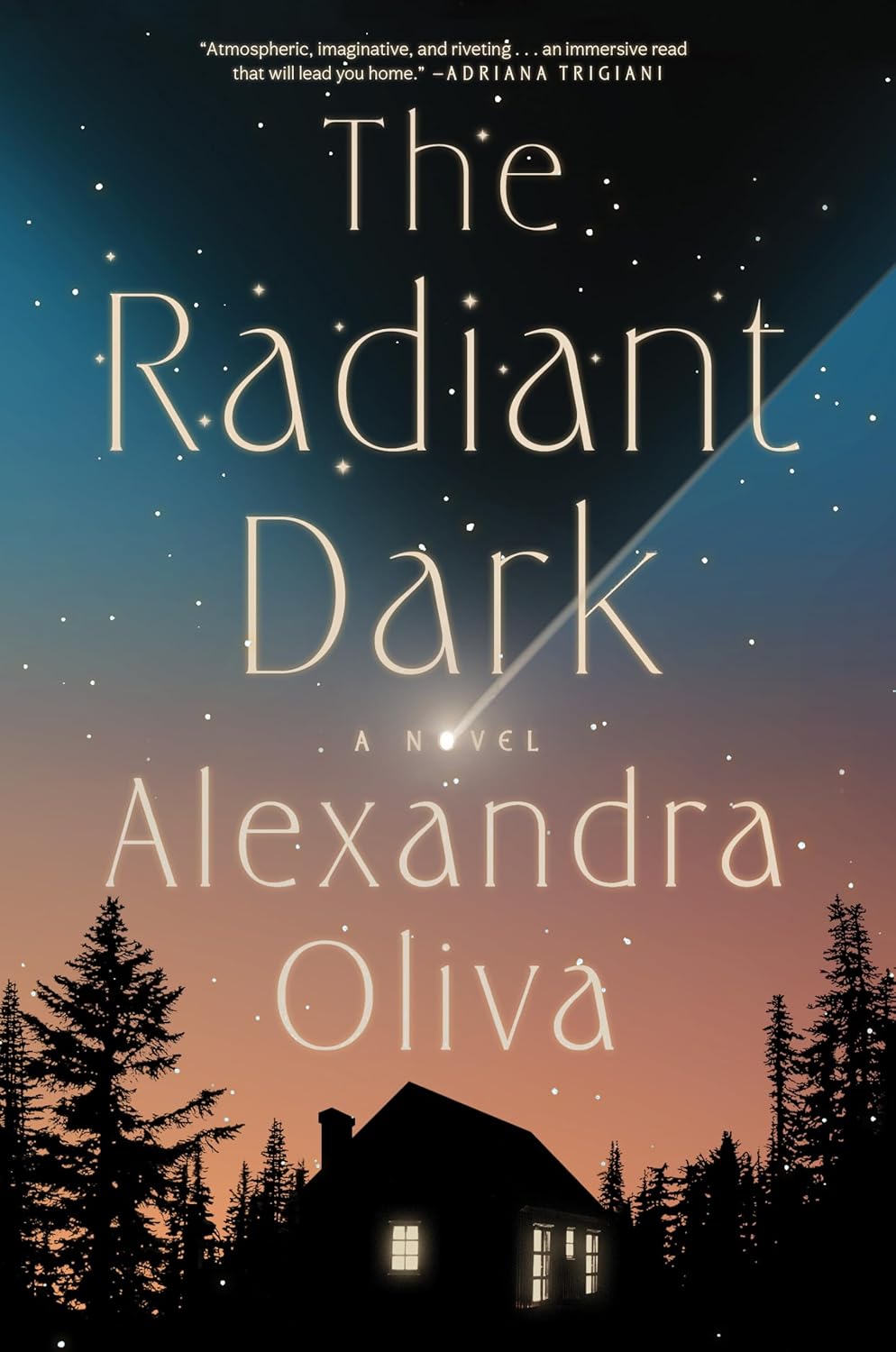 The Radiant Dark: A Novel