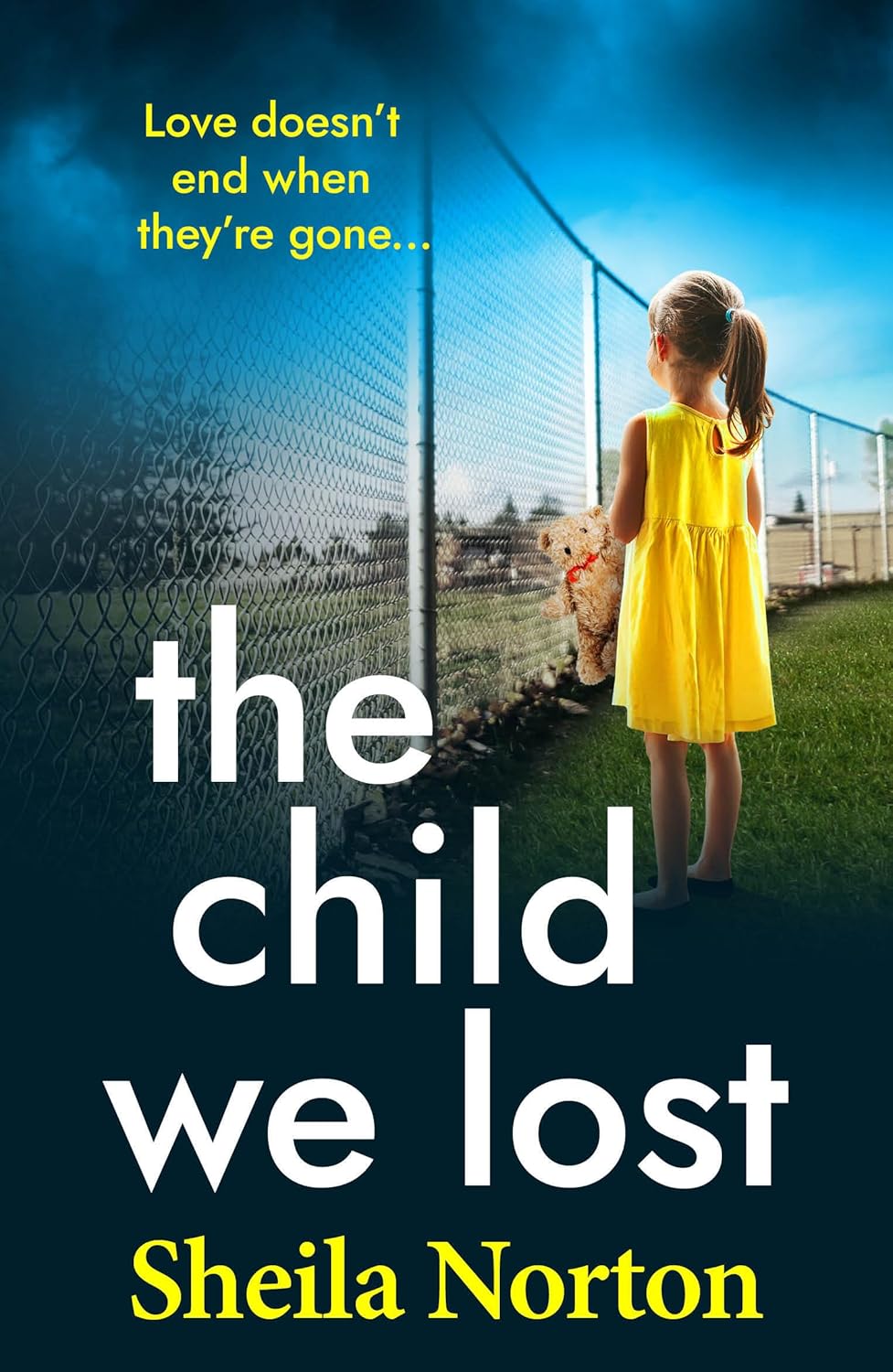 The Child We Lost: The BRAND NEW heartbreaking family drama from Sheila Norton for 2026