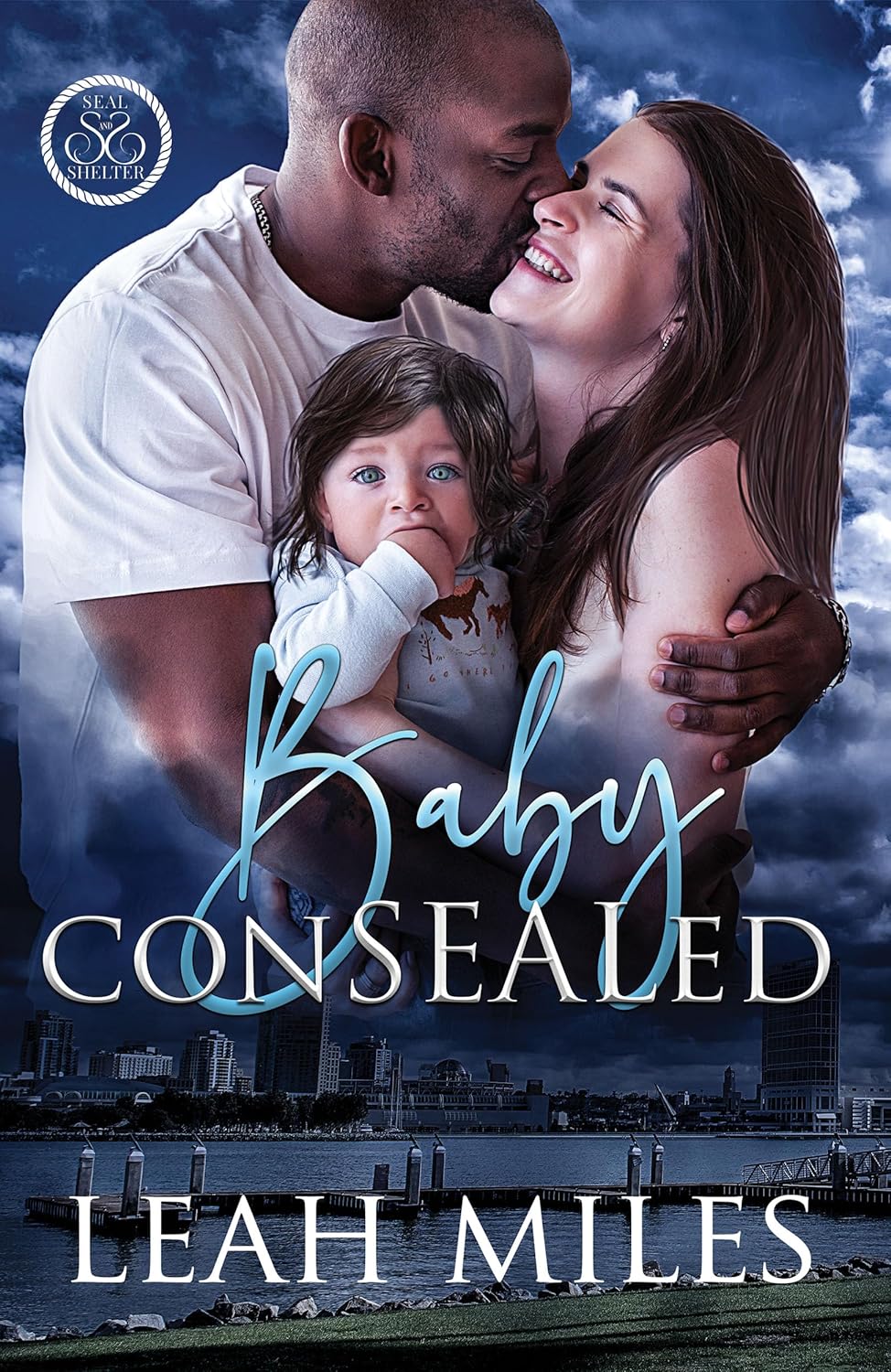 Baby ConSEALed (SEAL & Shelter Book 1)