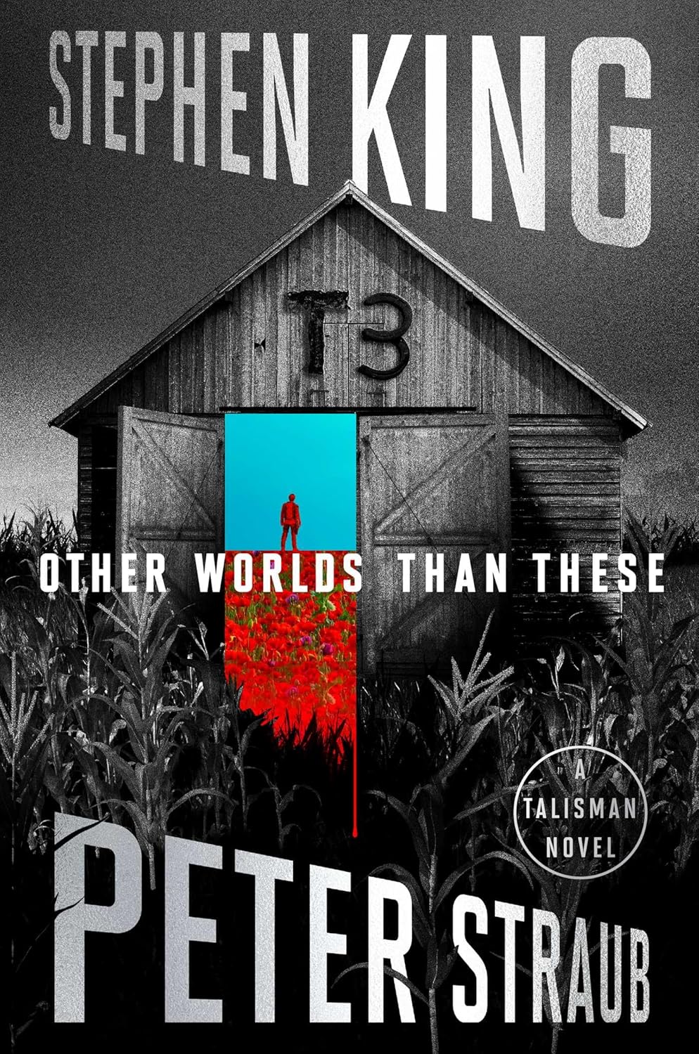 Other Worlds Than These: A Talisman Novel (The Talisman Trilogy Book 3)